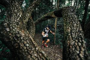 BIB: 
                            <button type="button" onclick="openModal(25389638)" class="btn btn-primary btn-sm float-right btn-popup" data-toggle="modal" data-target=".modal-high-quality">
                        <i class="fas fa-shopping-cart"></i> Add to Cart
                    </button>
                                            <button type="button" onclick="isThisMe(25389638, true)" class="btn btn-success btn-sm float-right btn-popup btn-isme hidden" data-toggle="tooltip" data-placement="bottom" title="นี่คือรูปของคุณใช่ไหม คลิกที่นี่เพื่อเอาเข้าอัลบั้ม">
                        <i class="fas fa-plus"></i> Add to album
                    </button>
                    <button type="button" onclick="isThisMe(25389638, false)" class="btn btn-warning btn-sm float-right btn-popup btn-isnotme hidden">
                        <i class="fas fa-ban"></i> Remove from album
                    </button>